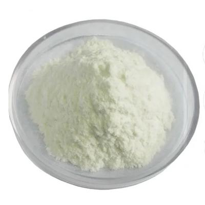 Sodium Alginate 300-500cps CAS NO.9005-38-3
    