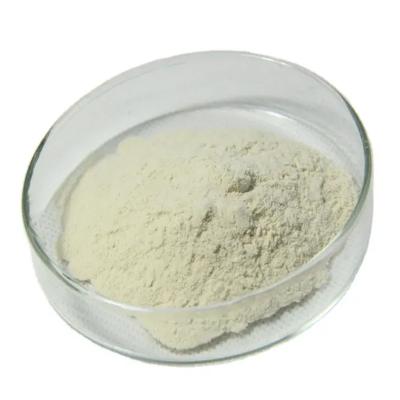 Maltodextrin DE:10-15 CAS NO.9050-36-6
    